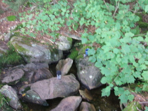 Appalachian Trail Sound Recording Appalachian Trail Sound Recording