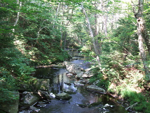 Appalachian Trail Appalachian Trail