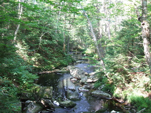 Appalachian Trail Appalachian Trail