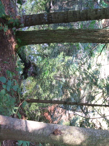 Appalachian Trail Appalachian Trail