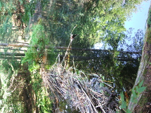 Appalachian Trail Beaver Dam Appalachian Trail Beaver Dam