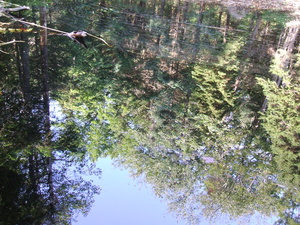 Appalachian Trail Reflection in beaver pond Appalachian Trail Reflection in beaver pond