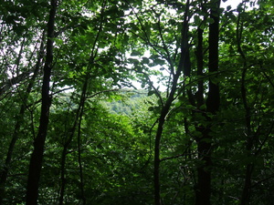 Appalachian Trail Appalachian Trail