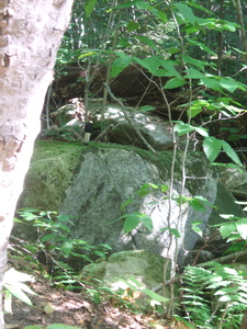 Appalachian Trail Appalachian Trail
