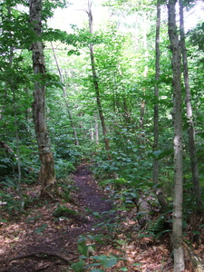 Appalachian Trail Appalachian Trail