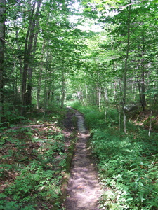 Appalachian Trail Appalachian Trail