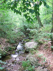 Appalachian Trail Appalachian Trail