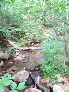 Appalachian Trail Appalachian Trail