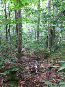 Appalachian Trail Appalachian Trail