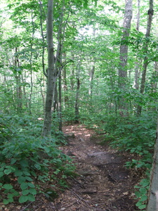 Appalachian Trail Appalachian Trail