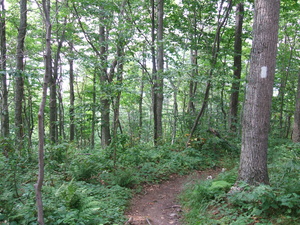 Appalachian Trail Appalachian Trail