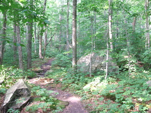 Appalachian Trail Appalachian Trail