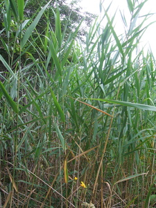 Appalachian Trail Appalachian Trail