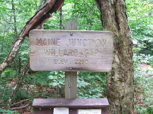 Appalachian Trail Maine Junction, Willard Gap, Elevation 2250 feet. Appalachian Trail Maine Junction, Willard Gap, Elevation 2250 feet.