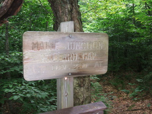 Appalachian Trail Maine Junction, Willard Gap, Elevation 2250 feet. Appalachian Trail Maine Junction, Willard Gap, Elevation 2250 feet.