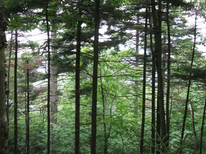 Appalachian Trail Appalachian Trail