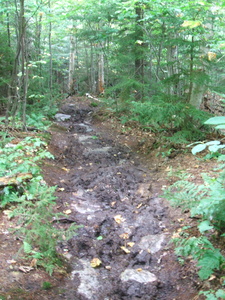 Appalachian Trail Quite muddy Appalachian Trail Quite muddy