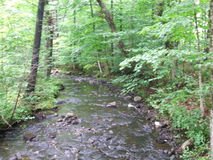 Appalachian Trail Appalachian Trail