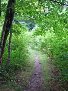 Appalachian Trail Appalachian Trail