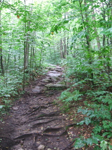 Appalachian Trail Appalachian Trail