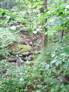 Appalachian Trail Appalachian Trail