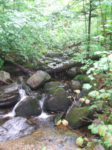 Appalachian Trail Appalachian Trail