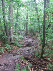 Appalachian Trail Appalachian Trail