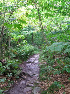 Appalachian Trail Appalachian Trail