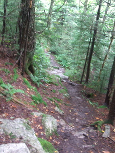 Appalachian Trail Appalachian Trail