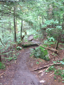 Appalachian Trail Appalachian Trail