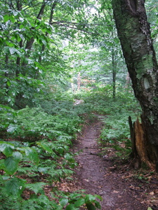 Appalachian Trail Appalachian Trail