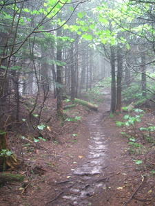 Appalachian Trail Appalachian Trail