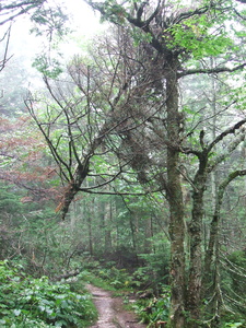 Appalachian Trail Appalachian Trail