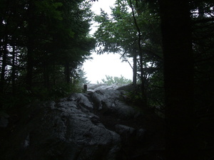 Appalachian Trail Appalachian Trail