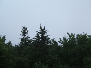 Appalachian Trail Appalachian Trail