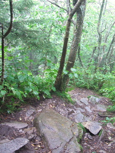 Appalachian Trail Appalachian Trail