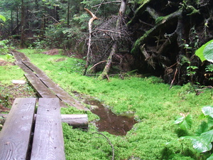 Appalachian Trail Appalachian Trail