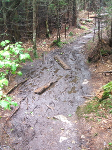 Appalachian Trail Very Muddy Trail Appalachian Trail Very Muddy Trail