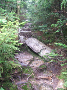 Appalachian Trail Appalachian Trail