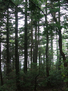 Appalachian Trail Appalachian Trail