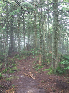 Appalachian Trail Appalachian Trail