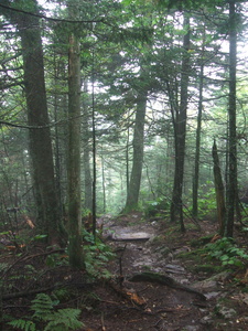 Appalachian Trail Appalachian Trail