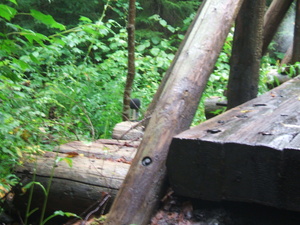 Appalachian Trail Sound Recording Appalachian Trail Sound Recording