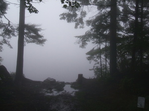 Appalachian Trail Fog Appalachian Trail Fog