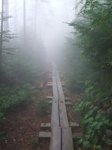 Appalachian Trail Fog Appalachian Trail Fog