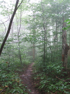 Appalachian Trail Appalachian Trail