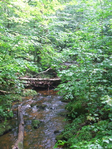 Appalachian Trail Appalachian Trail