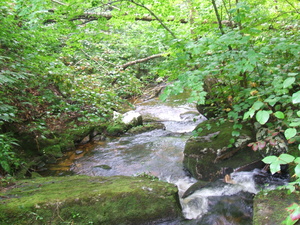 Appalachian Trail Appalachian Trail