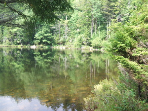 Appalachian Trail Appalachian Trail