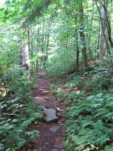 Appalachian Trail Appalachian Trail
